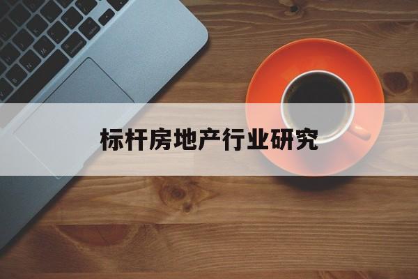 三沙市标杆房地产行业研究(房地产领域的标杆人物)