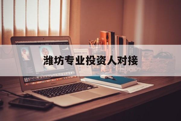 三沙市潍坊专业投资人对接(潍坊专业投资人对接中心)