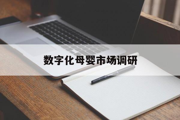三沙市数字化母婴市场调研(数字化母婴市场调研报告)